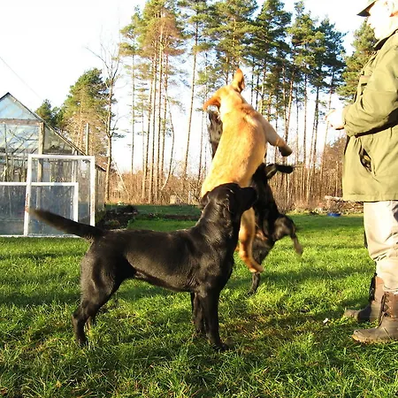 民宿 科伊杜民宿 *