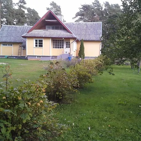 Koidu Haapsalu