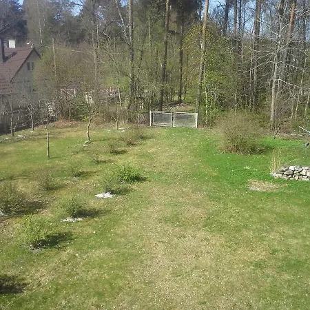 Koidu Haapsalu